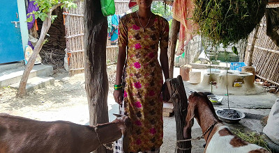 Farmingofgoat02 N